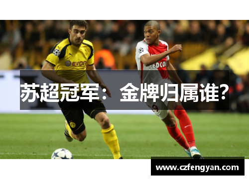 苏超冠军：金牌归属谁？